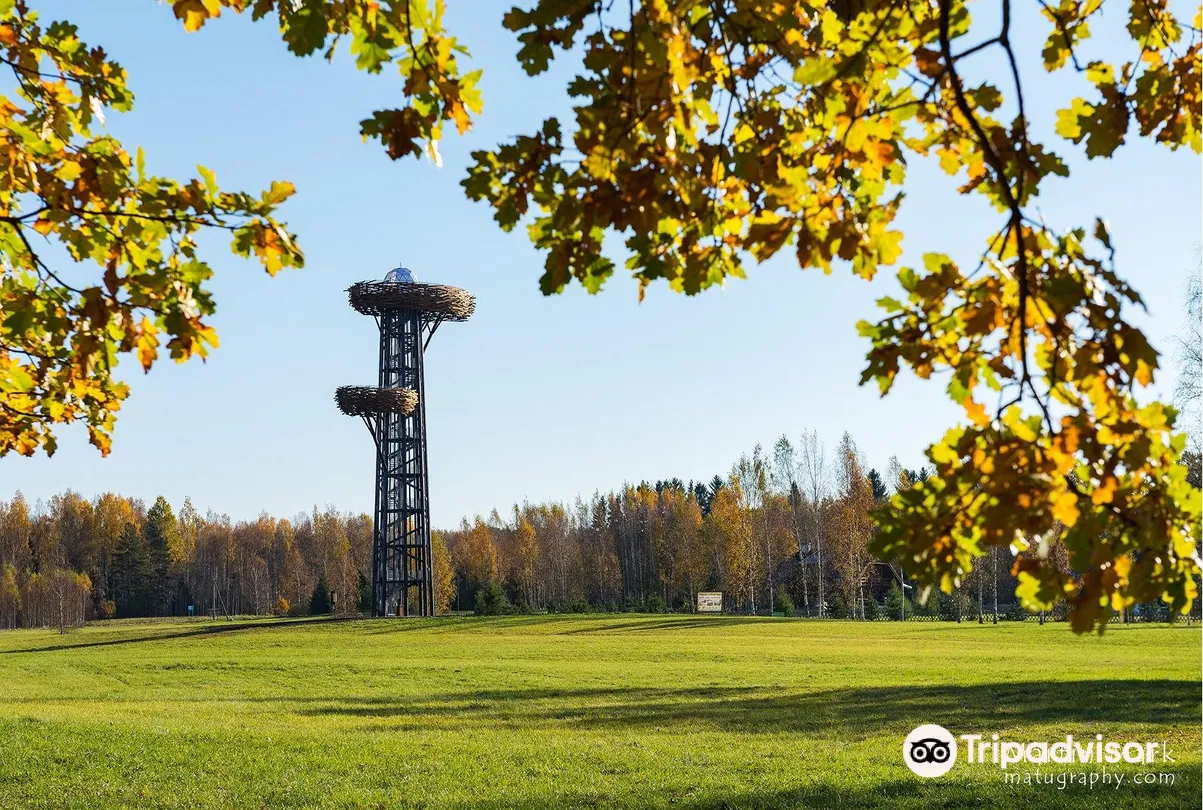 1_Rõuge watchtower "Pesapuu"