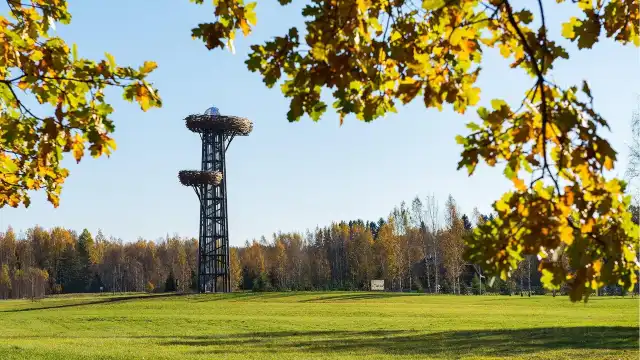 Rõuge watchtower "Pesapuu"