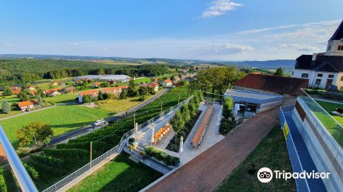 Gesamtsteirische Vinothek