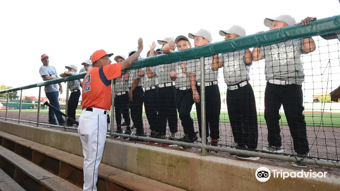 Bowling Green Ballpark Tickets, Opening Hours, Reviews & Photos [2025