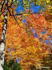 Devils Glen Provincial Park