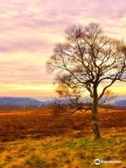 Owler Tor