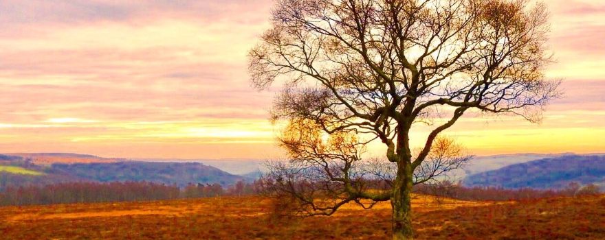 Owler Tor
