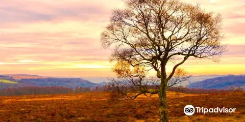 Over Owler Tor
