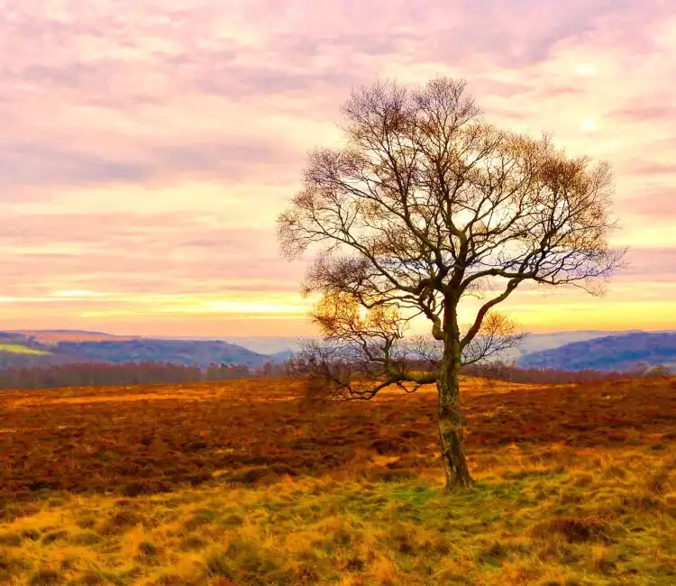 Hotels in Grindleford