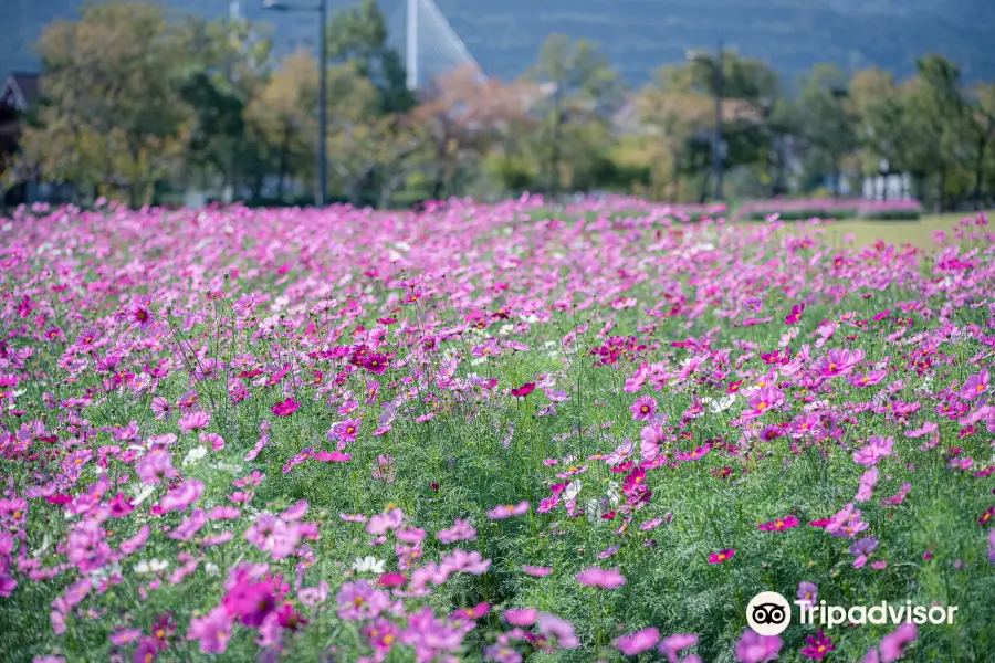 Narutouchinoumi Park