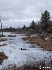 Sheffield Conservation Area