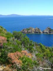 Parque nacional Port-Cros