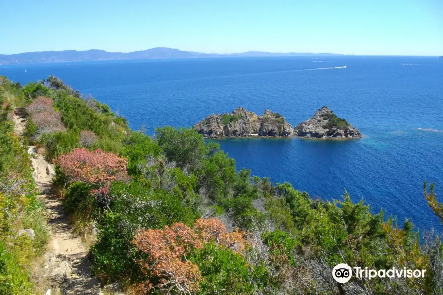 Parque nacional Port-Cros