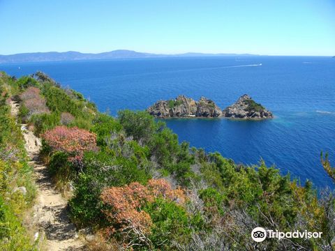 Port-Cros National Park