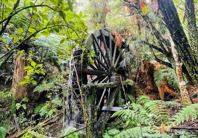 Mitchells Gully Gold Mine