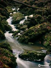 Brush Creek Canyon State Preserve