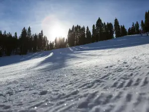 Granlibakken Ski & Sled Hill
