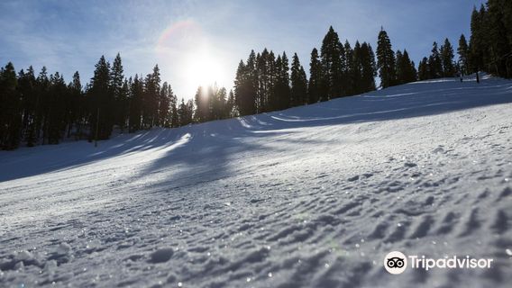 Granlibakken Ski & Sled Hill
