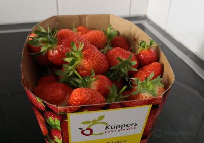 Küppers Erdbeeren