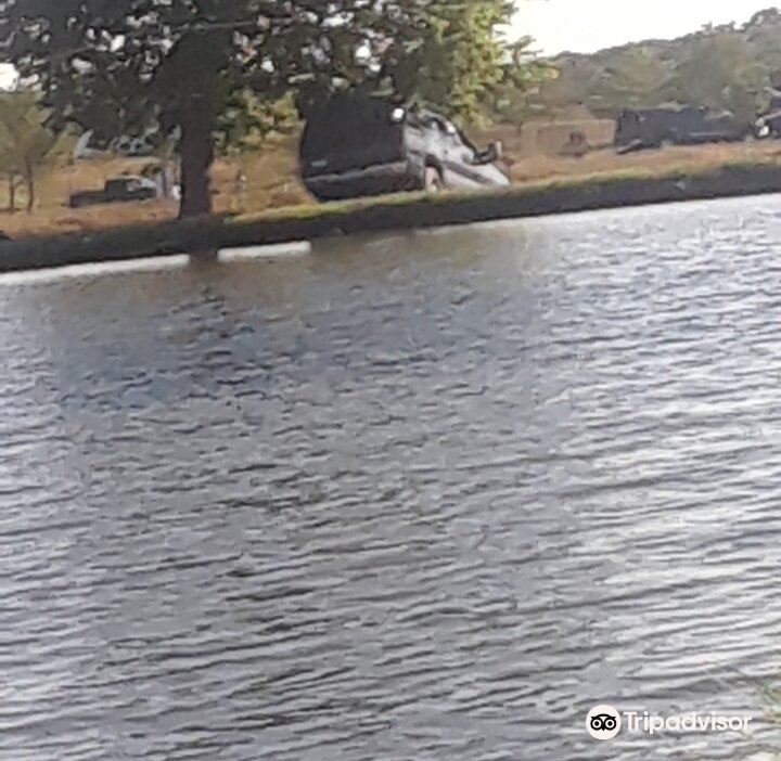 Latest travel itineraries for Zetts TriState Fish Farm & Hatchery in