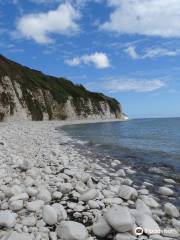 Danes Dyke Nature Reserve