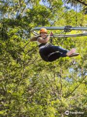 Treetops Adventure Central Coast