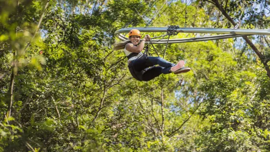 Treetops Adventure Central Coast