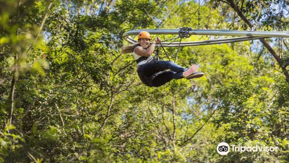 Treetops Adventure Central Coast