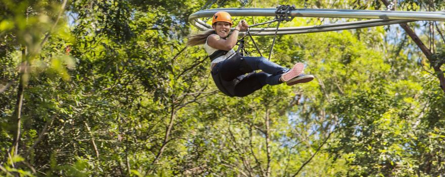 Treetops Adventure Central Coast