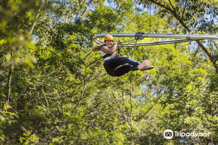 Treetops Adventure Central Coast