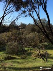 Gwambygine Pool Conservation Reserve