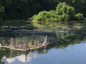 Sequiota Park