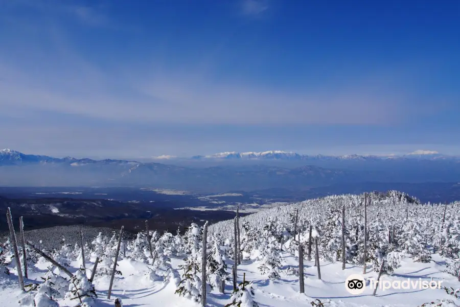 縞枯山