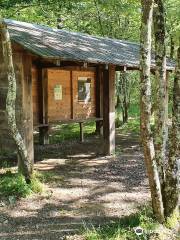 Forêt de Bouconne