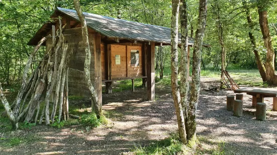 Forêt de Bouconne