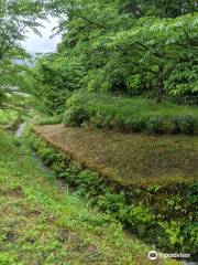 上司谷公園(あじさい公園)