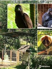 Cikananga Wildlife Center