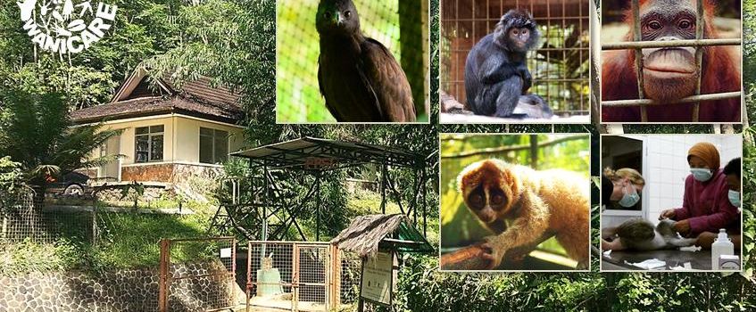 Cikananga Wildlife Center