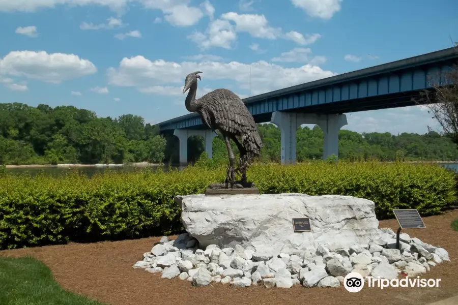 Robinson Bridge Fishing Park