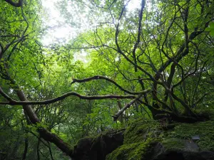 風穴 上林森林公園