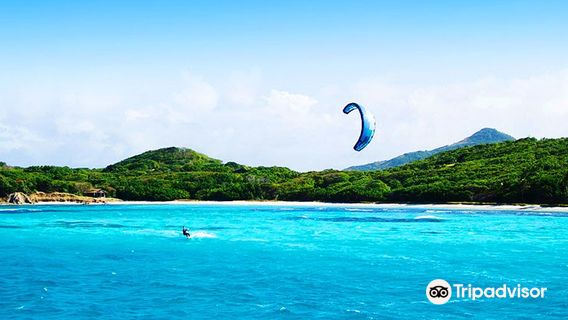 AVID Kiteboarding