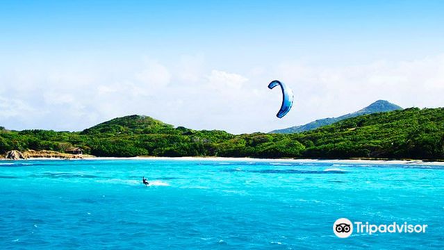 AVID Kiteboarding