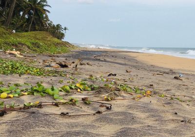 Thengapattinam Beach