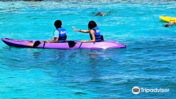 Coral World Ocean Park