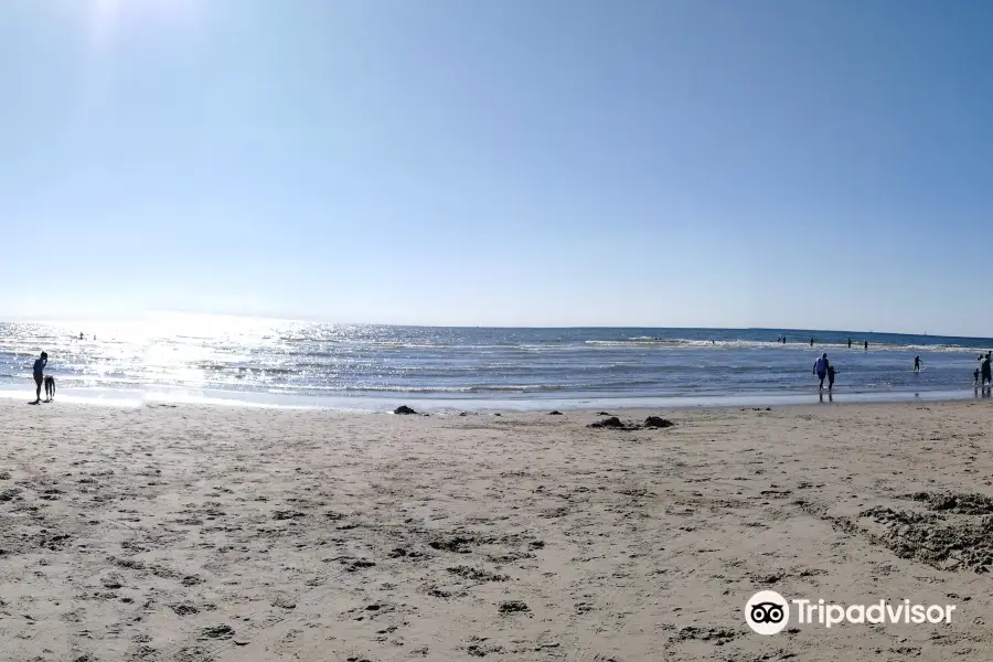 het strand van Bergen aan Zee