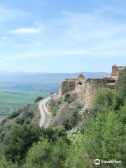 Nimrod Fortress National Park