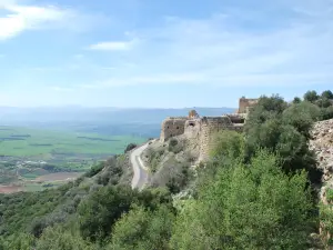 Nimrod Fortress National Park