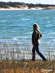 Corson's Inlet State Park