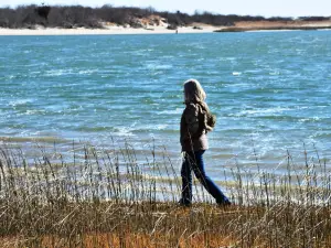 Corson's Inlet State Park