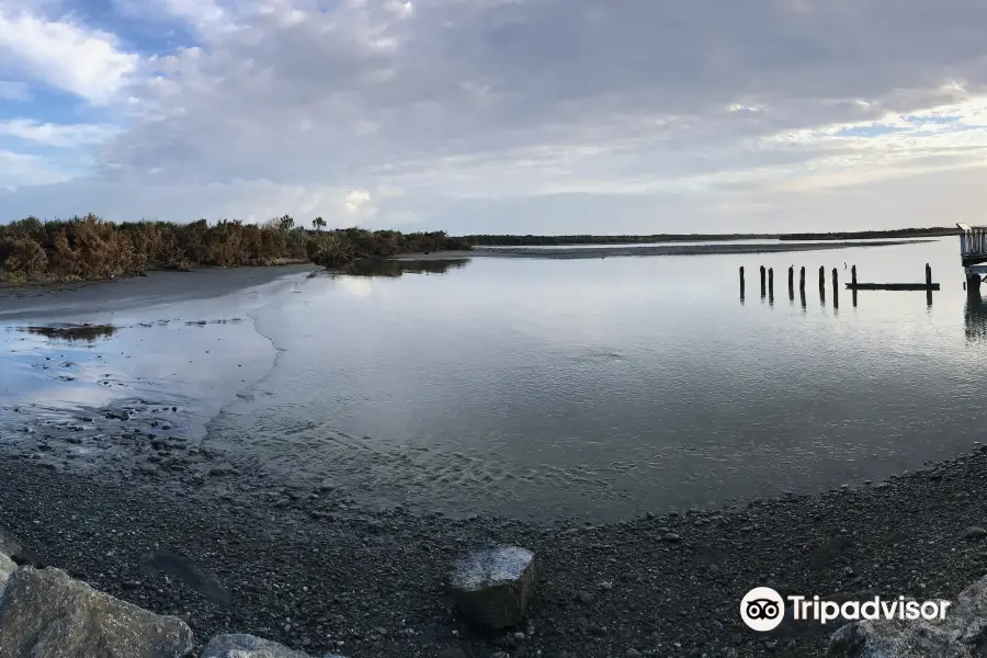 Ōkārito Lagoon