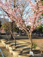 Shiyokohama Ekimae Park