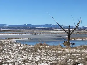 Modoc National Wildlife Refuge