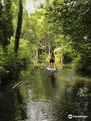 Stand up Paddling Spreewald Martin Fix