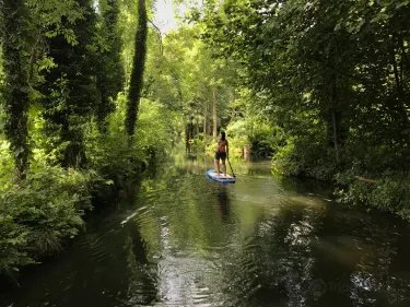 Stand up Paddling Spreewald Martin Fix Burg otelleri